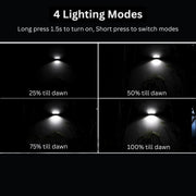 Lighting mode demonstration with four different levels of brightness on a dark background.