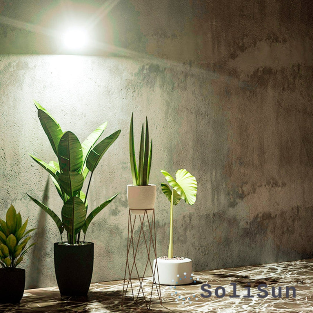 solisun solar sensor light