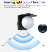 solar motion sensor light